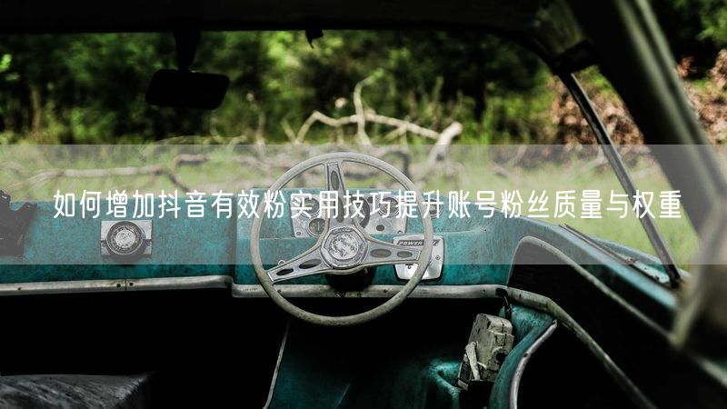 如何增加抖音有效粉实用技巧提升账号粉丝质量与权重