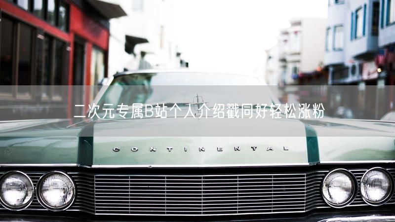 二次元专属B站个人介绍戳同好轻松涨粉