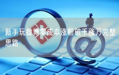新手玩微博零成本涨粉破千涨万完整思路