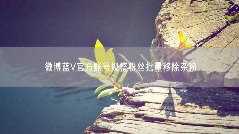 微博蓝V官方账号规整粉丝批量移除杂粉