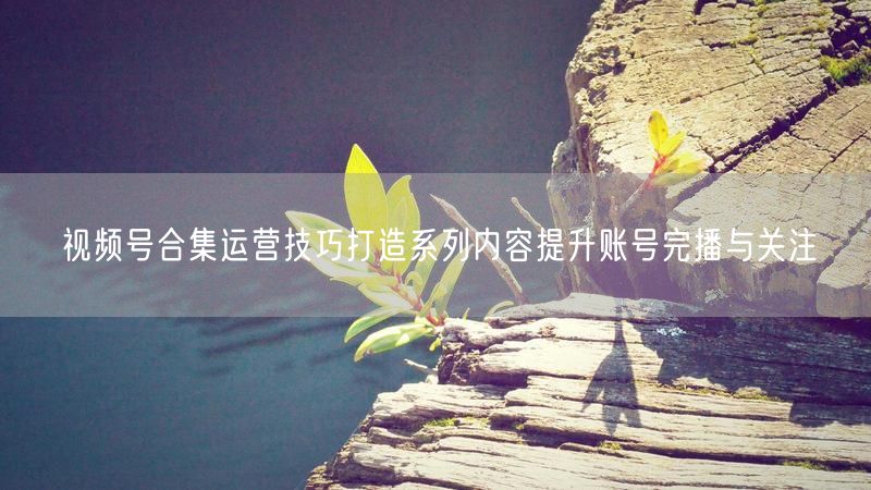 视频号合集运营技巧打造系列内容提升账号完播与关注