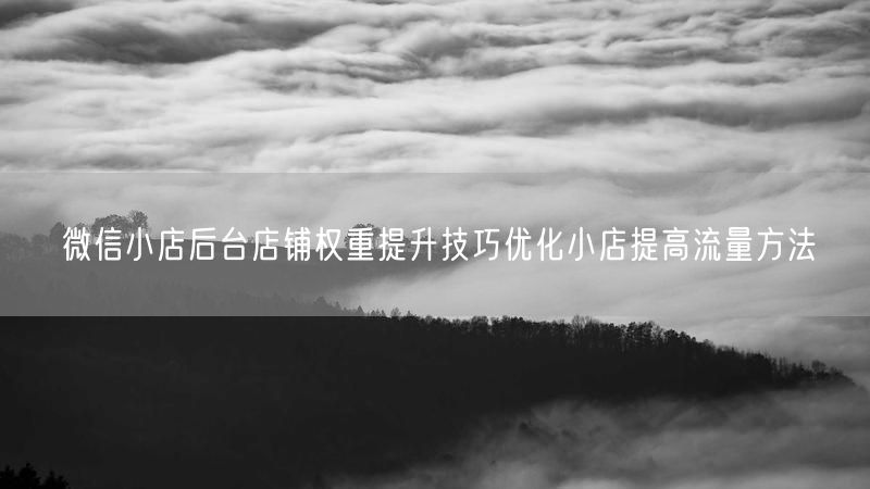 微信小店后台店铺权重提升技巧优化小店提高流量方法