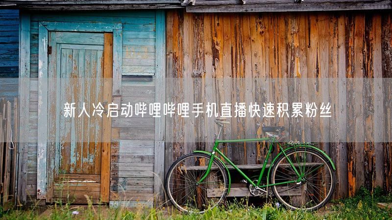 新人冷启动哔哩哔哩手机直播快速积累粉丝