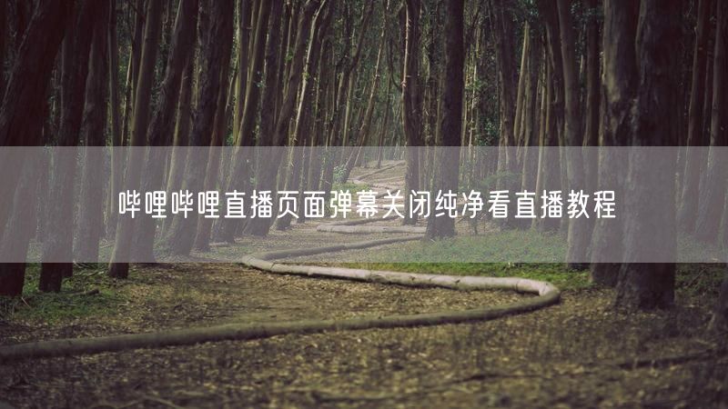 哔哩哔哩直播页面弹幕关闭纯净看直播教程