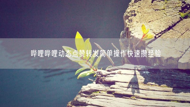 哔哩哔哩动态点赞转发简单操作快速攒经验