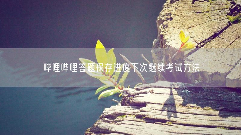 哔哩哔哩答题保存进度下次继续考试方法