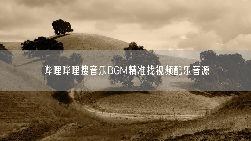 哔哩哔哩搜音乐BGM精准找视频配乐音源