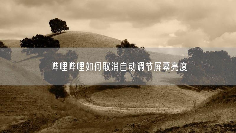 哔哩哔哩如何取消自动调节屏幕亮度