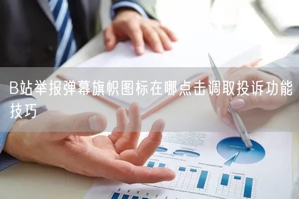B站举报弹幕旗帜图标在哪点击调取投诉功能技巧