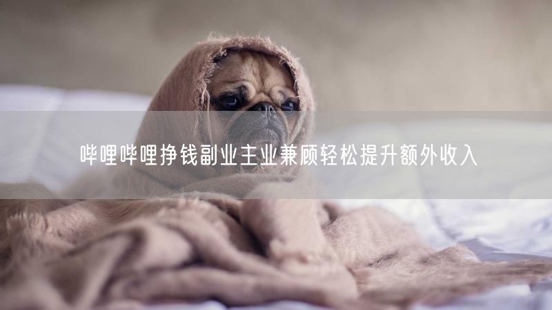 哔哩哔哩挣钱副业主业兼顾轻松提升额外收入