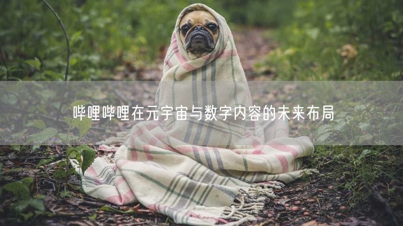 哔哩哔哩在元宇宙与数字内容的未来布局