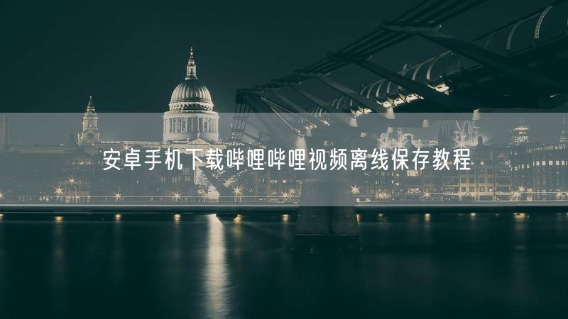 安卓手机下载哔哩哔哩视频离线保存教程