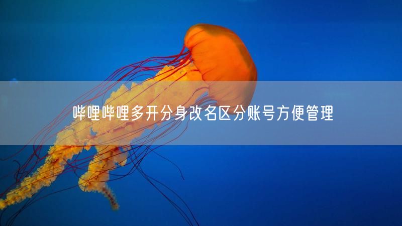 哔哩哔哩多开分身改名区分账号方便管理
