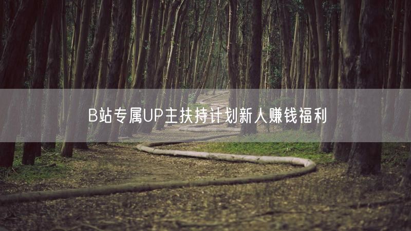 B站专属UP主扶持计划新人赚钱福利