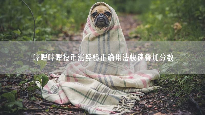哔哩哔哩投币涨经验正确用法快速叠加分数