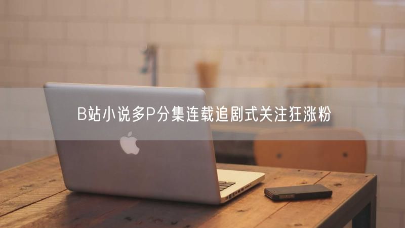 B站小说多P分集连载追剧式关注狂涨粉