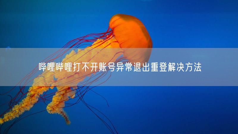哔哩哔哩打不开账号异常退出重登解决方法