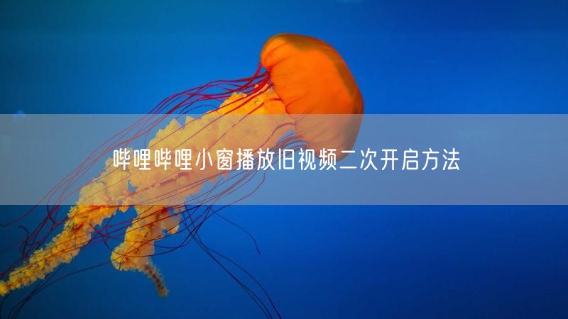哔哩哔哩小窗播放旧视频二次开启方法