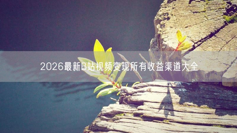 2026最新B站视频变现所有收益渠道大全