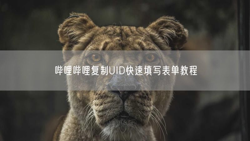 哔哩哔哩复制UID快速填写表单教程