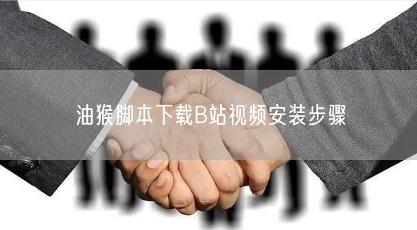 油猴脚本下载B站视频安装步骤