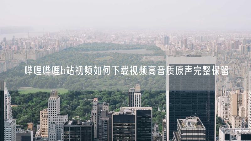 哔哩哔哩b站视频如何下载视频高音质原声完整保留