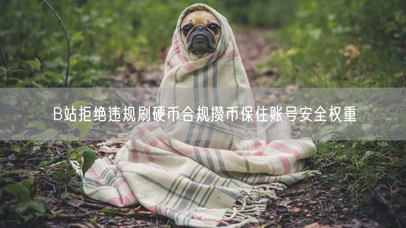 B站拒绝违规刷硬币合规攒币保住账号安全权重