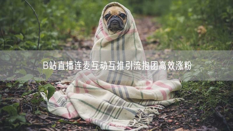 B站直播连麦互动互推引流抱团高效涨粉