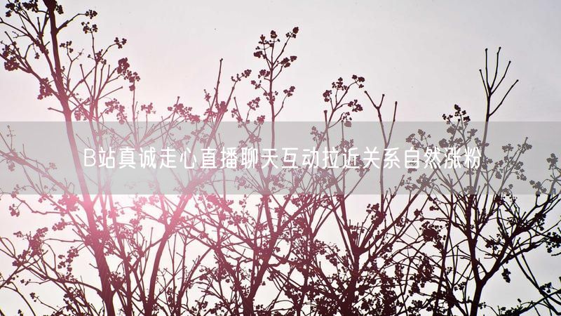 B站真诚走心直播聊天互动拉近关系自然涨粉