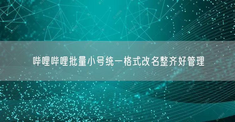 哔哩哔哩批量小号统一格式改名整齐好管理