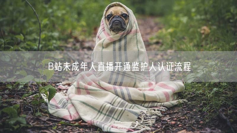 B站未成年人直播开通监护人认证流程