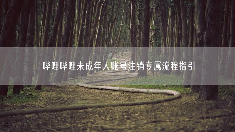 哔哩哔哩未成年人账号注销专属流程指引
