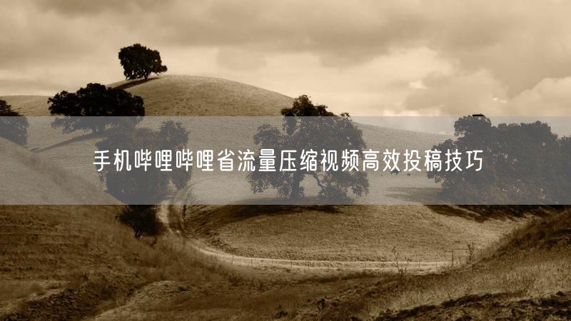 手机哔哩哔哩省流量压缩视频高效投稿技巧