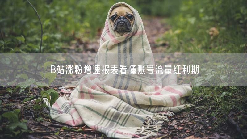 B站涨粉增速报表看懂账号流量红利期