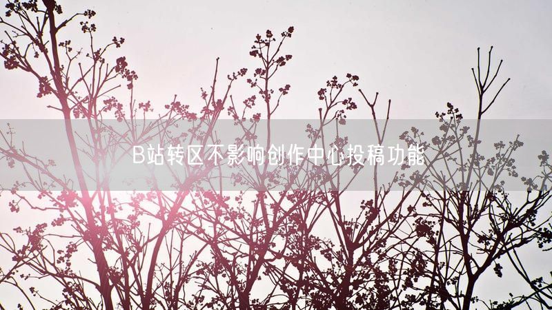 B站转区不影响创作中心投稿功能