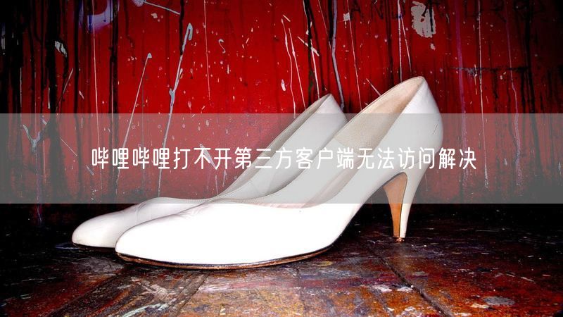 哔哩哔哩打不开第三方客户端无法访问解决
