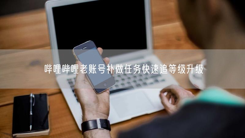 哔哩哔哩老账号补做任务快速追等级升级
