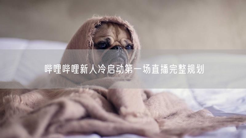 哔哩哔哩新人冷启动第一场直播完整规划