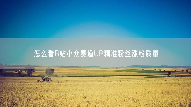 怎么看B站小众赛道UP精准粉丝涨粉质量