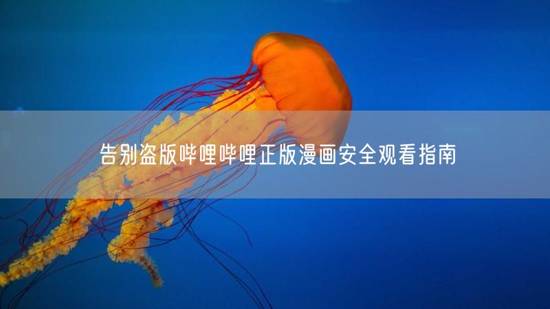 告别盗版哔哩哔哩正版漫画安全观看指南