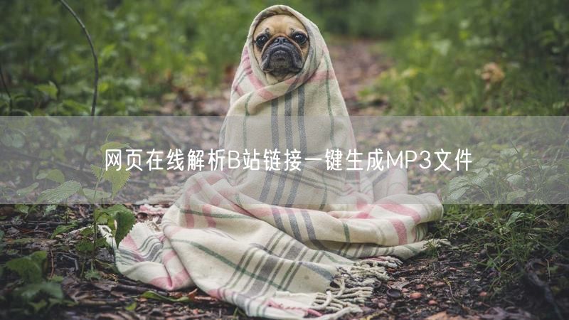 网页在线解析B站链接一键生成MP3文件