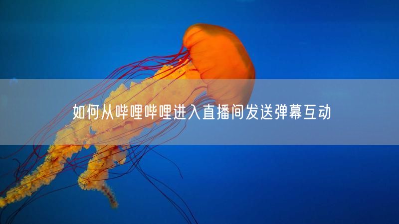 如何从哔哩哔哩进入直播间发送弹幕互动