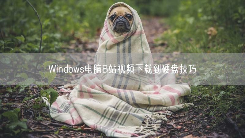 Windows电脑B站视频下载到硬盘技巧