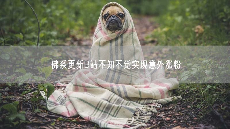 佛系更新B站不知不觉实现意外涨粉