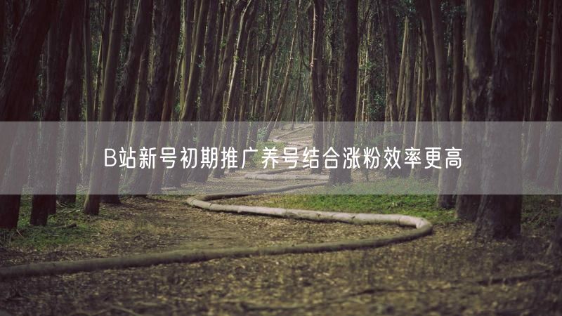 B站新号初期推广养号结合涨粉效率更高