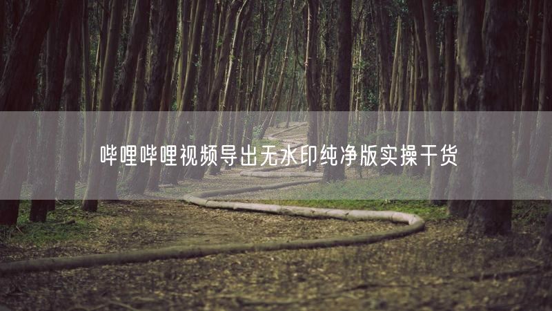 哔哩哔哩视频导出无水印纯净版实操干货