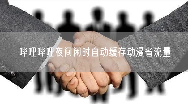 哔哩哔哩夜间闲时自动缓存动漫省流量