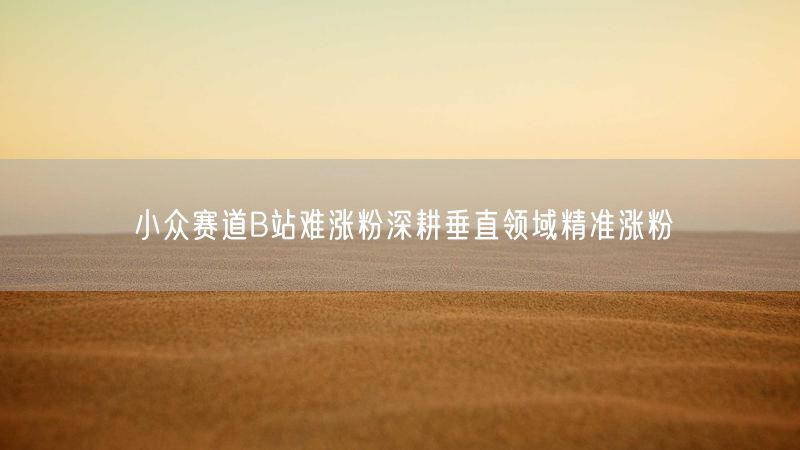 小众赛道B站难涨粉深耕垂直领域精准涨粉