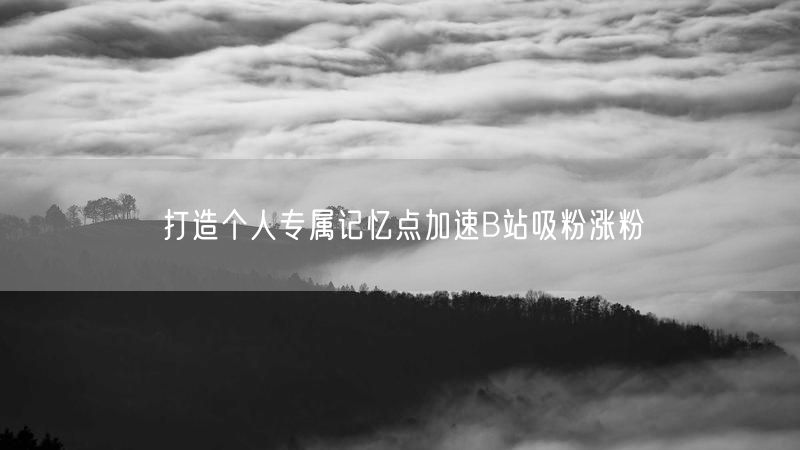 打造个人专属记忆点加速B站吸粉涨粉