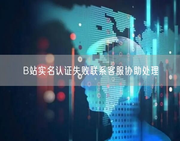 B站实名认证失败联系客服协助处理